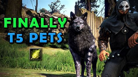 Base cost of 8 pets and spare T2 or buy 1 more pet - 7 pets (wasted 10 value). . T5 pet bdo